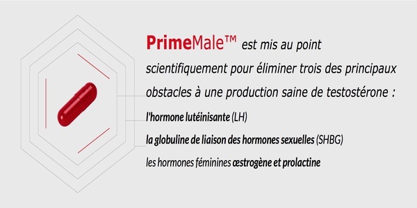 fonctionnement-prime-male